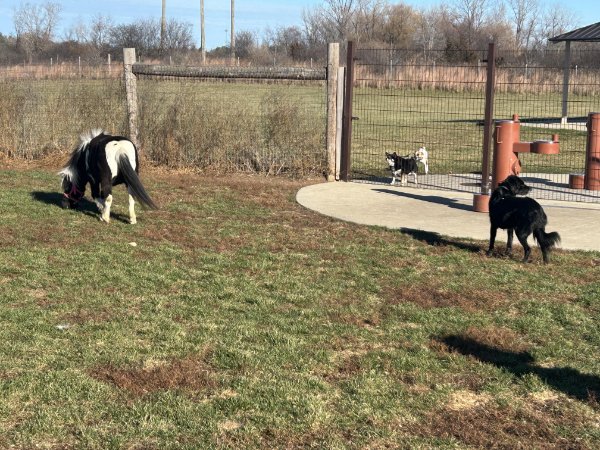 Interesting Finds (24 pics)