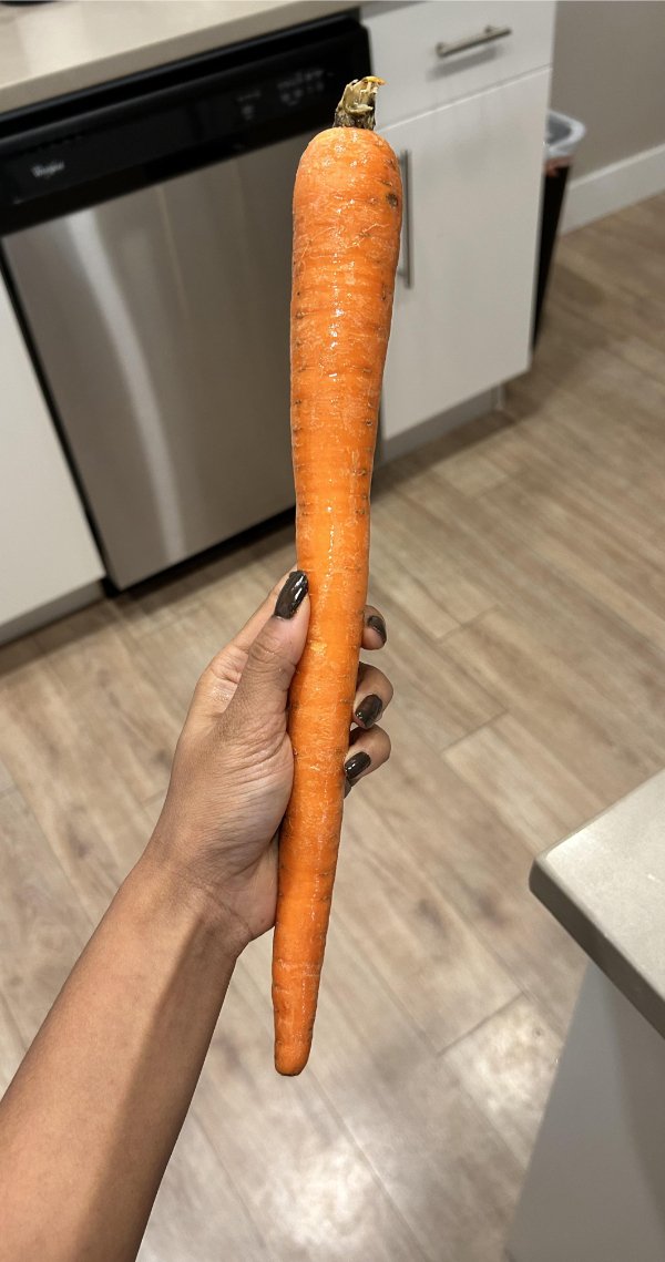 Interesting Finds (24 pics)