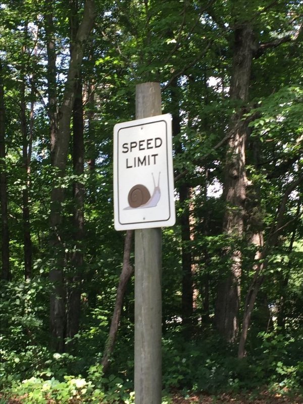 Funny Signs (24 pics) Funny Signs (24 pics)