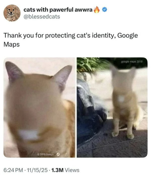 Funny Memes (28 pics)