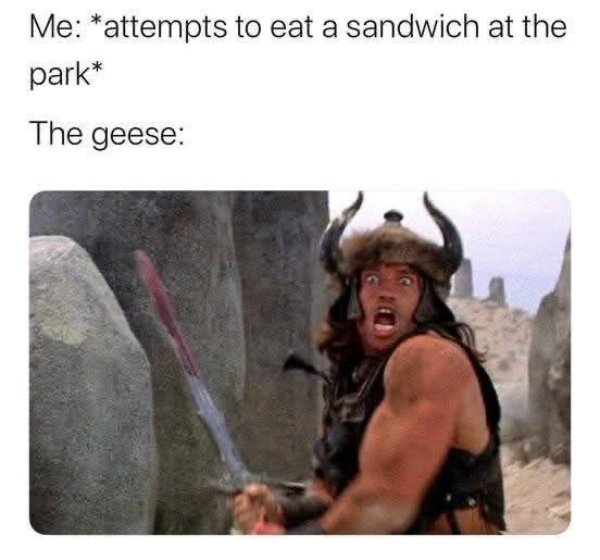 Funny Memes (28 pics)