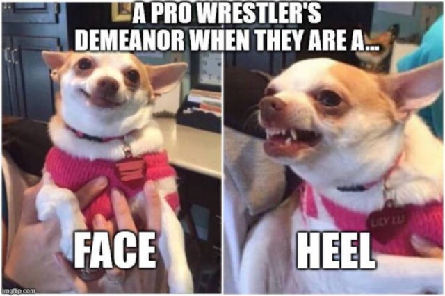 Funny Memes (25 pics)