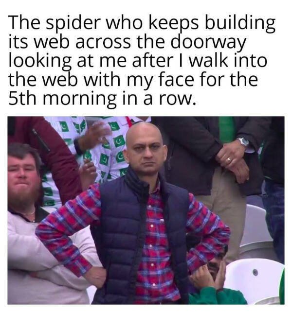 Funny Memes (25 pics)