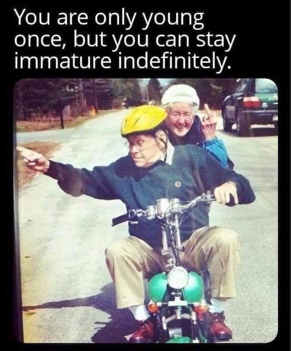 Random Memes (39 pics)