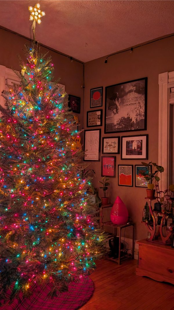 December Jokes And Photos (48 pics)