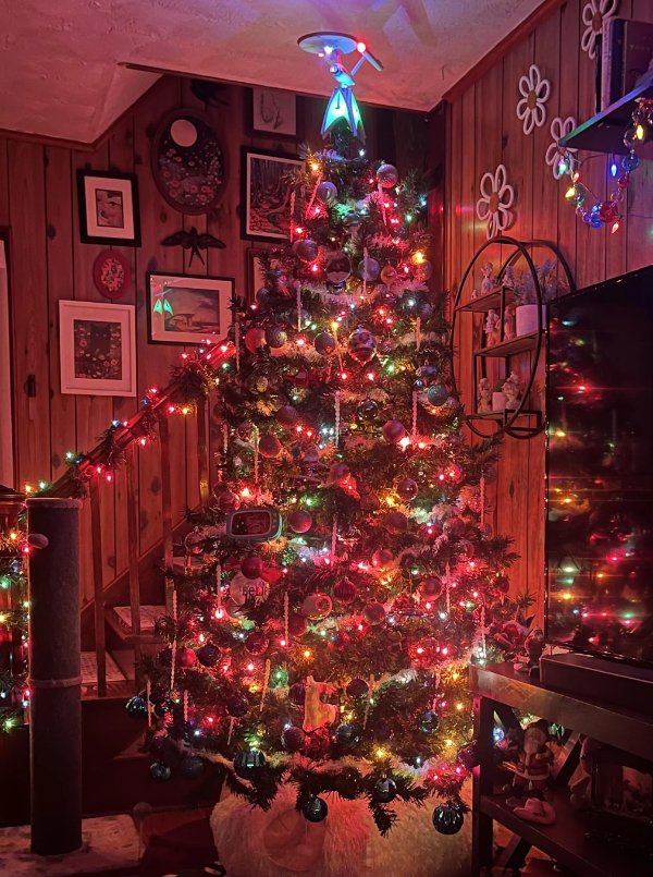 December Jokes And Photos (48 pics)