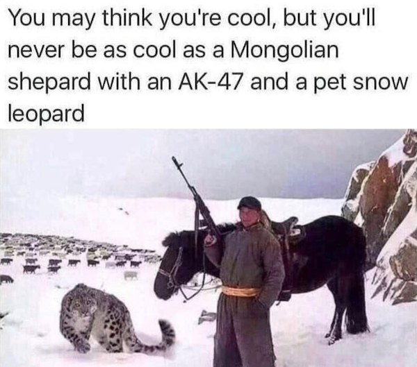 Random Memes (39 pics) Random Memes (39 pics)