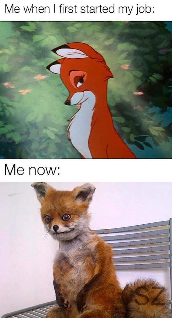 Random Memes (39 pics) Random Memes (39 pics)