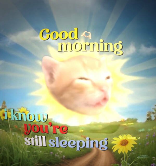 Morning Memes (16 pics) Morning Memes (16 pics)