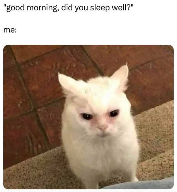 Morning Memes (16 pics) Morning Memes (16 pics)