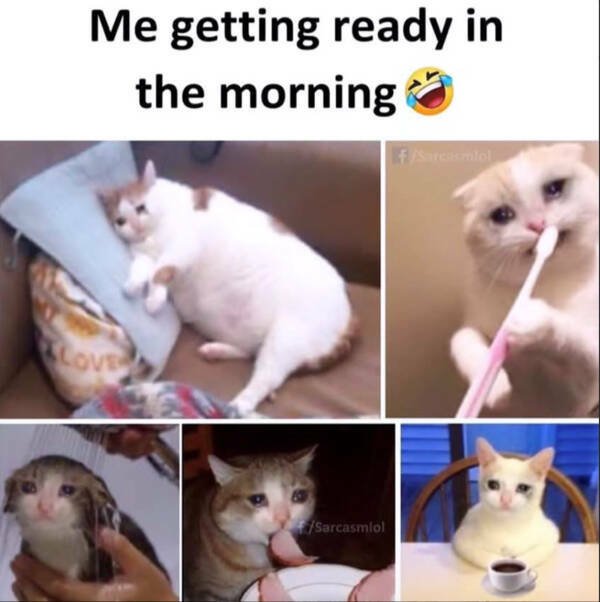 Morning Memes (16 pics) Morning Memes (16 pics)