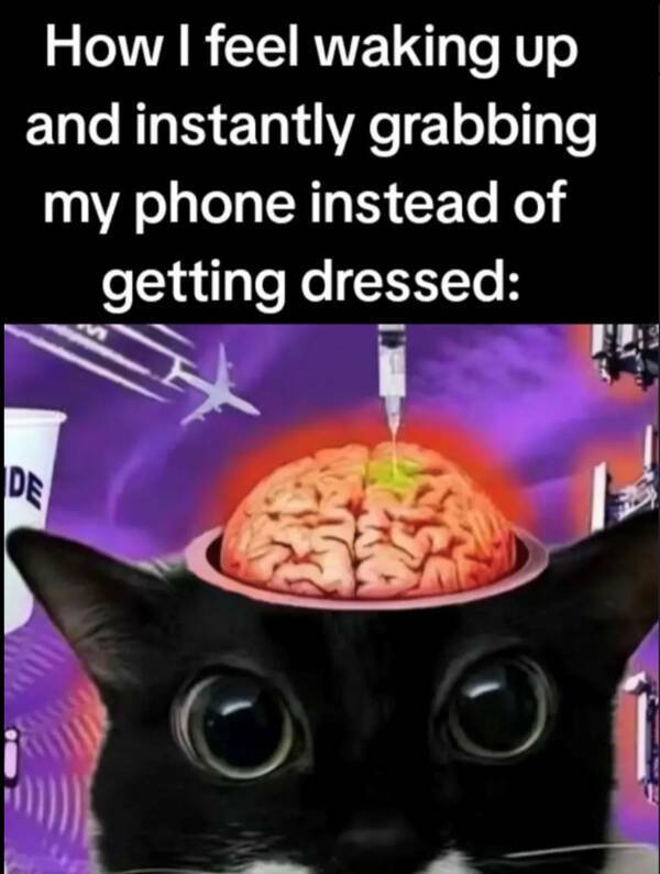 Morning Memes (16 pics) Morning Memes (16 pics)