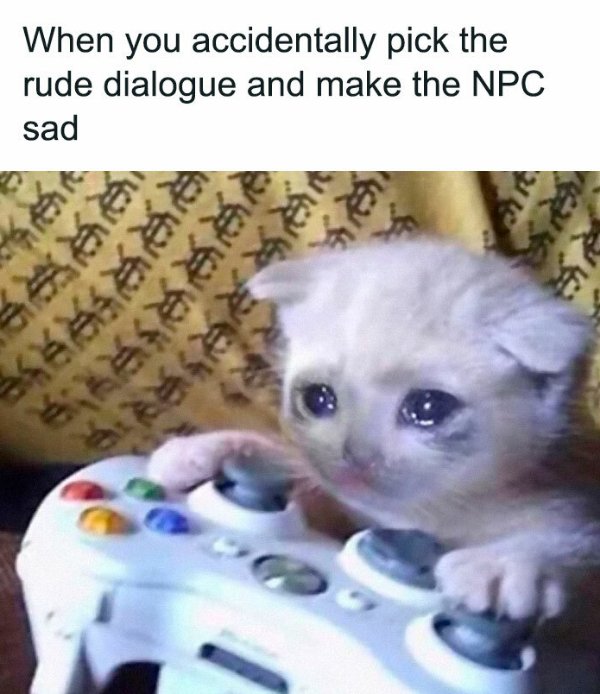 Memes For Gamers (36 pics)