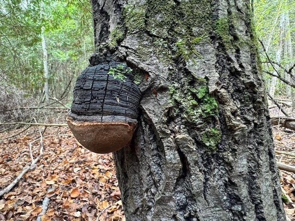 What Is Going On Here? (32 pics) What Is Going On Here? (32 pics)