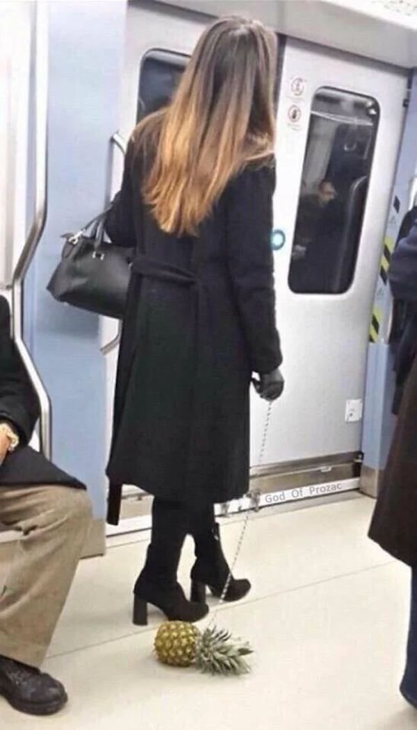 What Is Going On Here? (32 pics) What Is Going On Here? (32 pics)