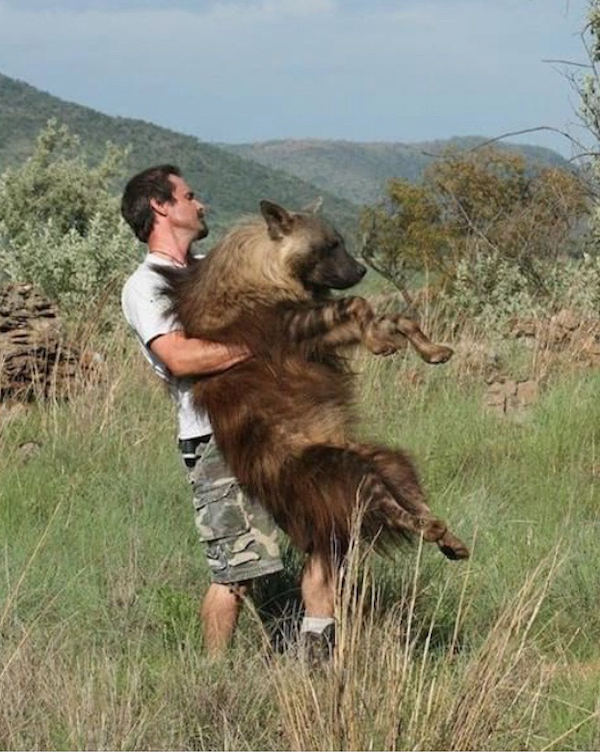 What Is Going On Here? (32 pics) What Is Going On Here? (32 pics)