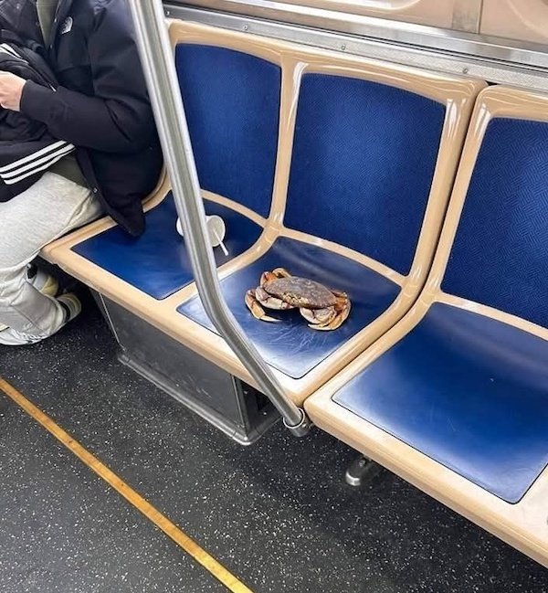 What Is Going On Here? (32 pics) What Is Going On Here? (32 pics)