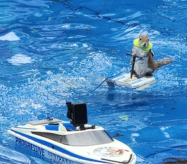 What Is Going On Here? (32 pics) What Is Going On Here? (32 pics)