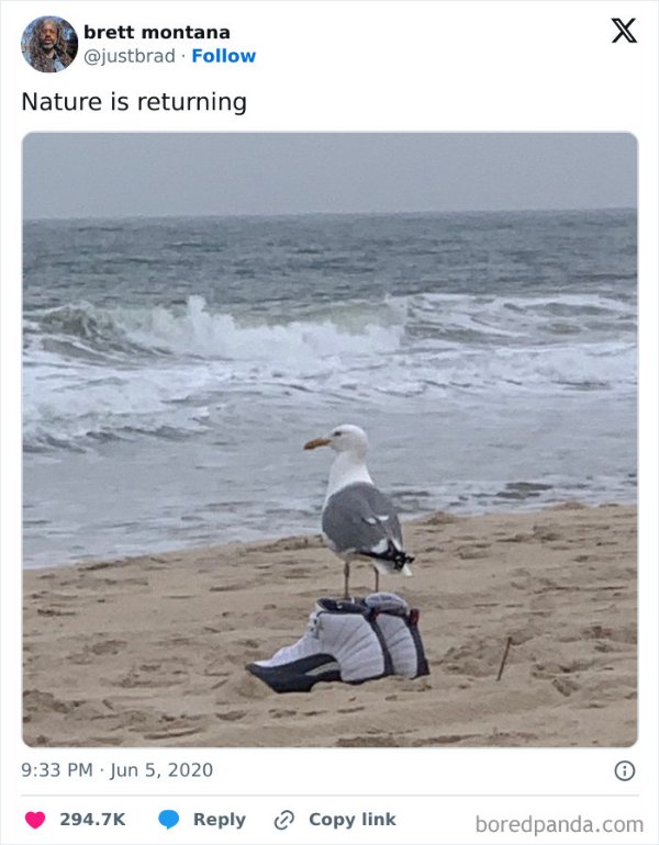 What Is Going On Here? (35 pics) What Is Going On Here? (35 pics)