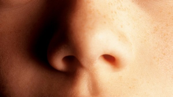 Interesting Facts (12 pics)