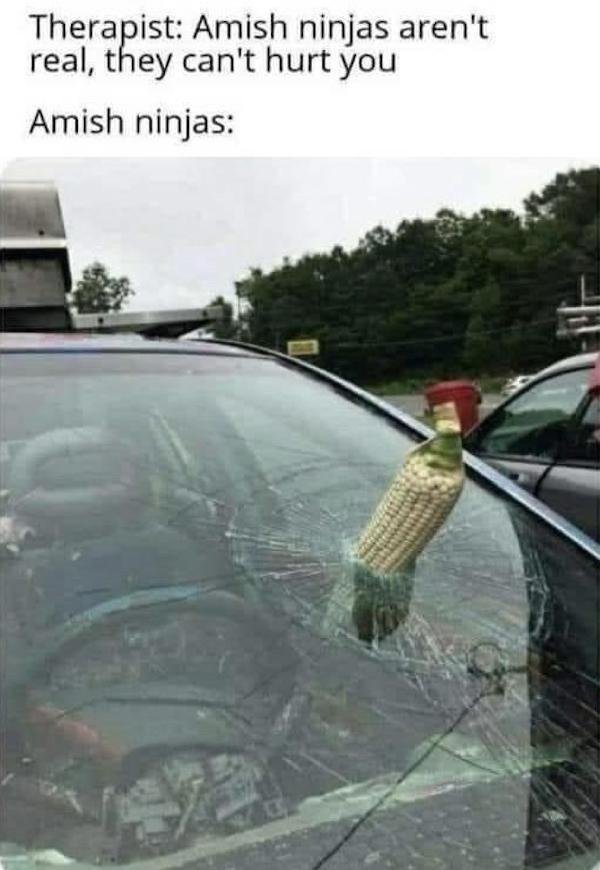 Funny Memes (29 pics) Funny Memes (29 pics)