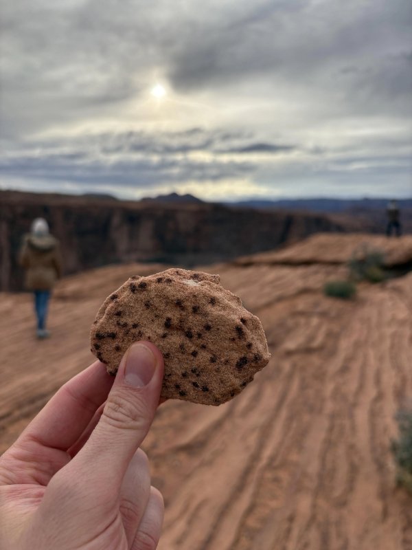 Interesting Finds (24 pics)