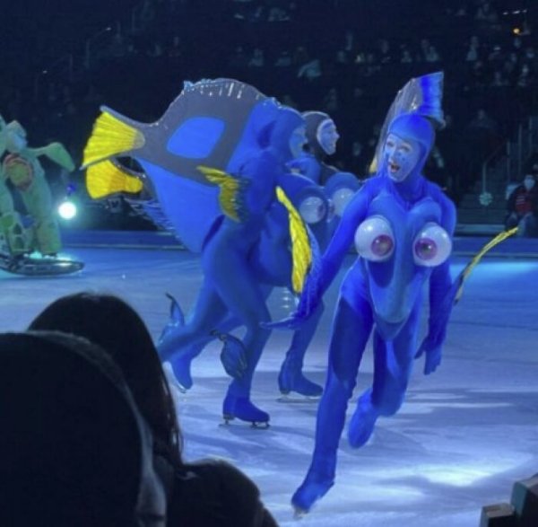 What Is Going On Here? (35 pics) What Is Going On Here? (35 pics)