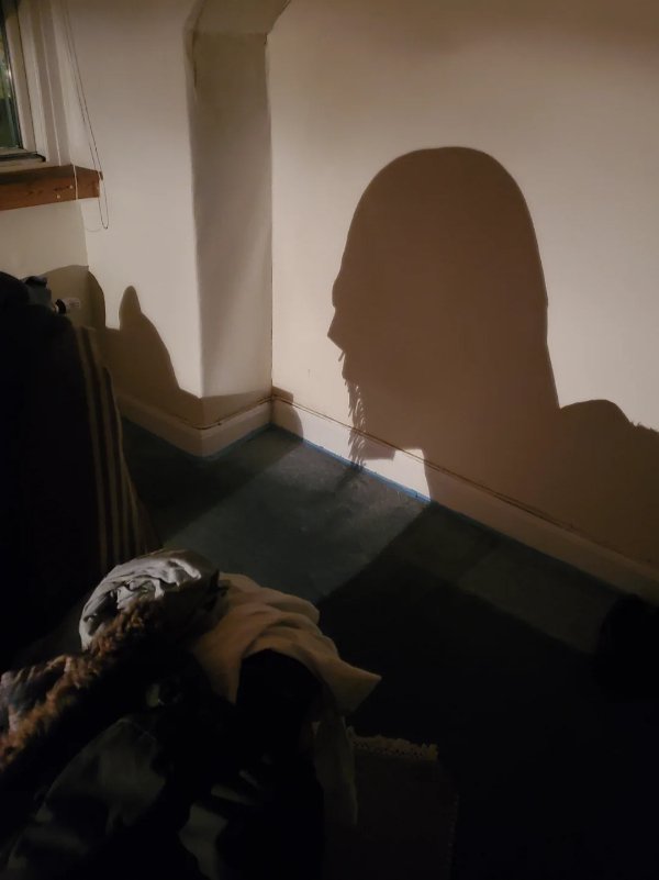 Interesting Finds (24 pics)