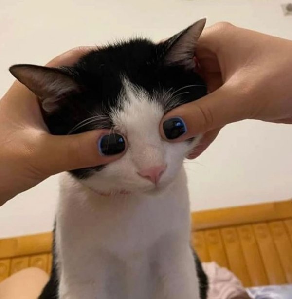 What Is Going On Here? (35 pics) What Is Going On Here? (35 pics)