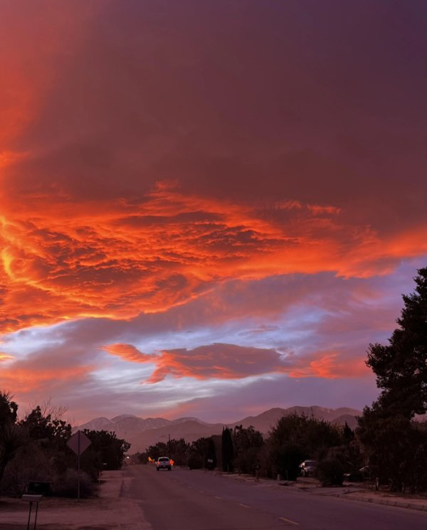 Interesting Finds (24 pics)