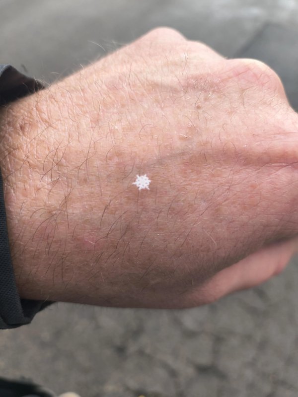 Interesting Finds (24 pics)