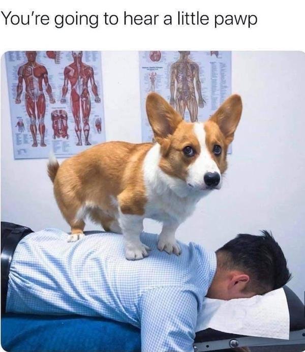 Funny Memes (29 pics) Funny Memes (29 pics)