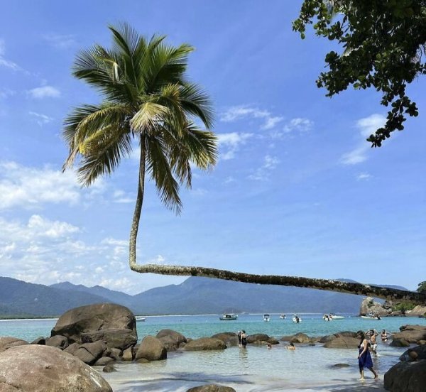 What Is Going On Here? (35 pics) What Is Going On Here? (35 pics)