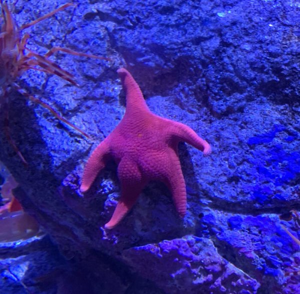 What Is Going On Here? (35 pics) What Is Going On Here? (35 pics)