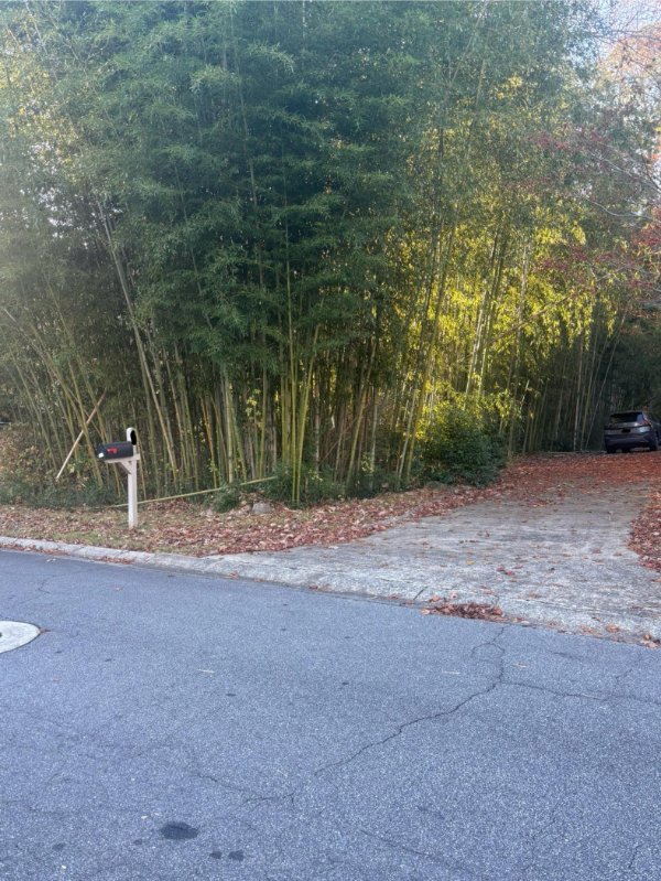 Interesting Finds (24 pics)