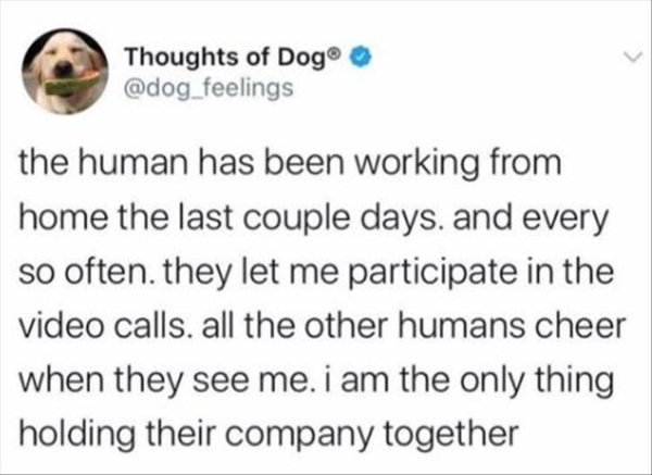 Memes About Work (29 pics)