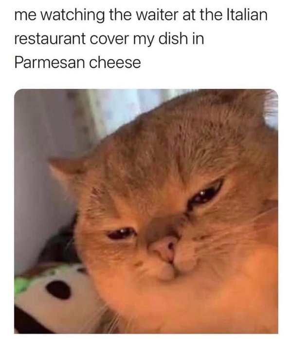 Memes For Cheese Lovers (43 pics)