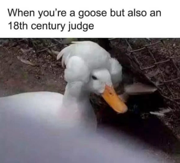 Funny Memes (28 pics)