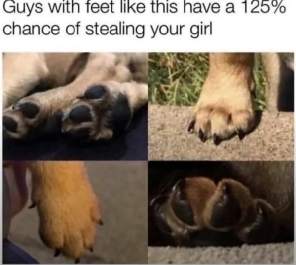 Kind Memes (49 pics)