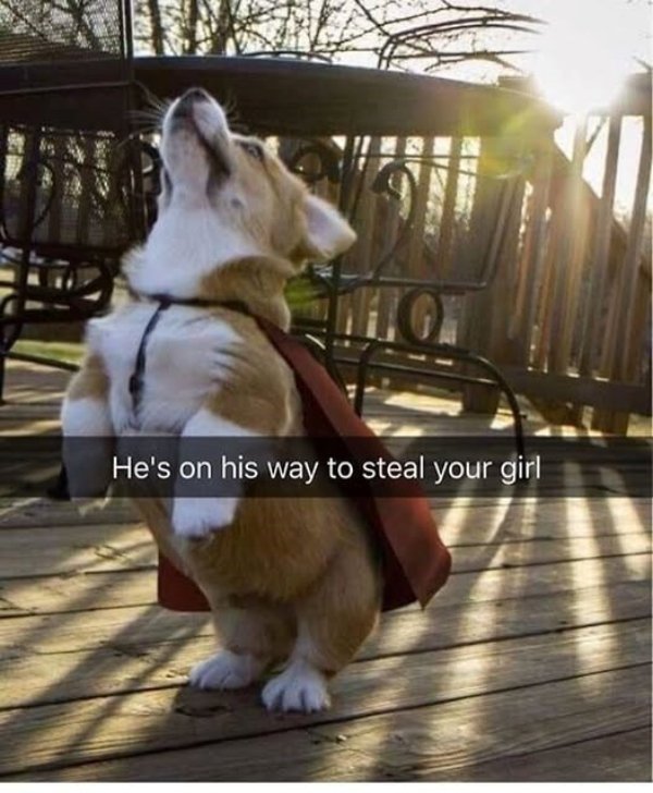 Kind Memes (49 pics)