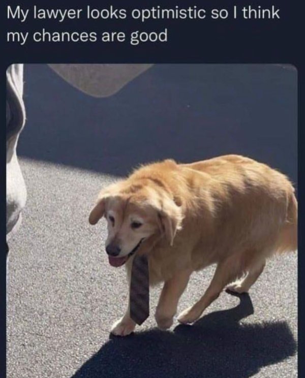 Kind Memes (49 pics)