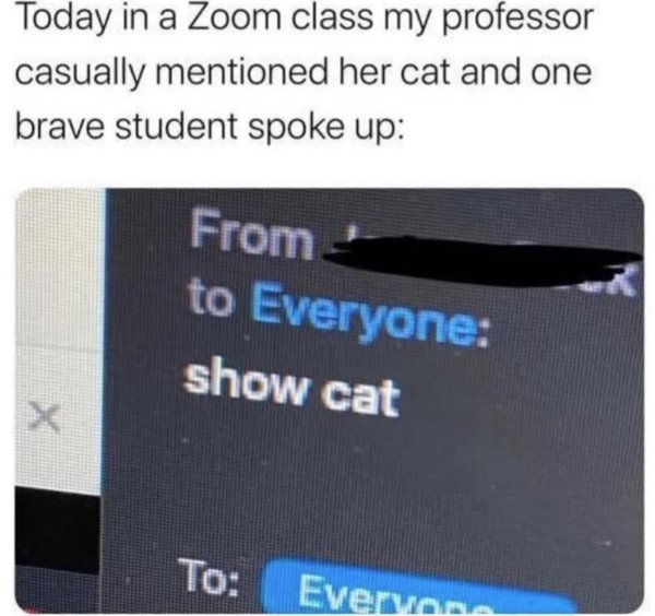 Funny Cats (29 pics) Funny Cats (29 pics)