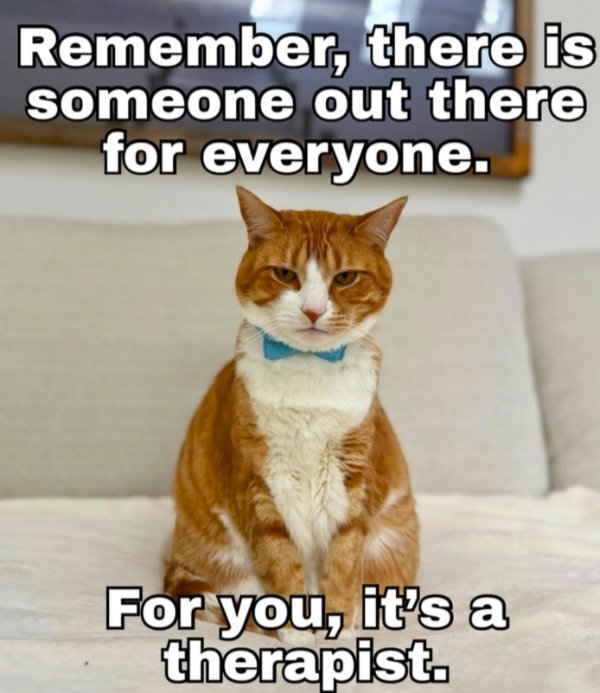 Funny Cats (29 pics) Funny Cats (29 pics)