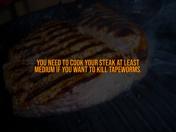 Creepy Facts (14 pics)