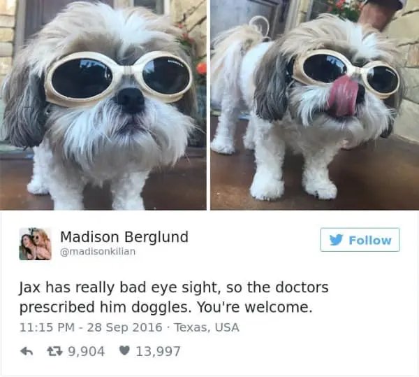 Kind Memes (49 pics)