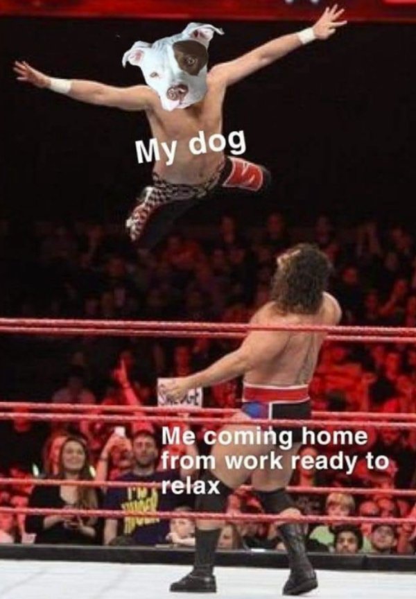 Kind Memes (49 pics)