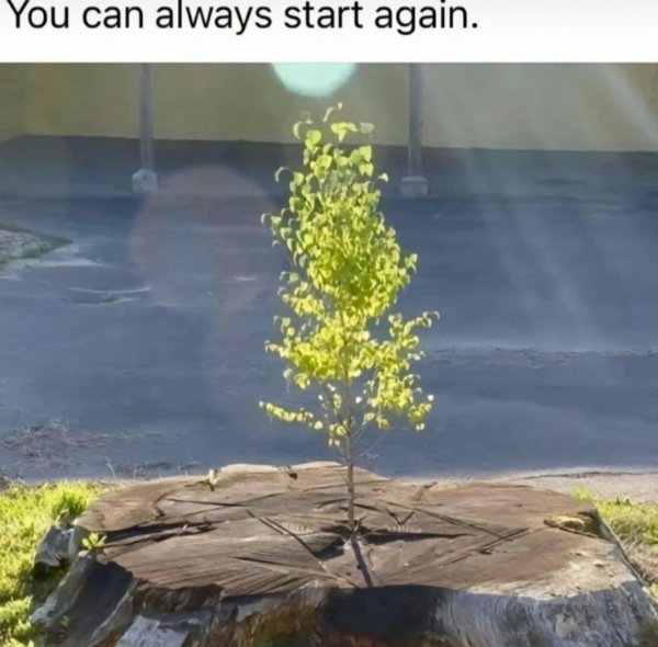 Kind Memes (49 pics)