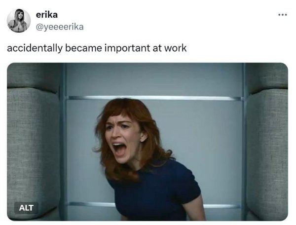 Memes About Work (29 pics)
