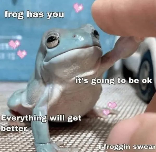 Kind Memes (49 pics)