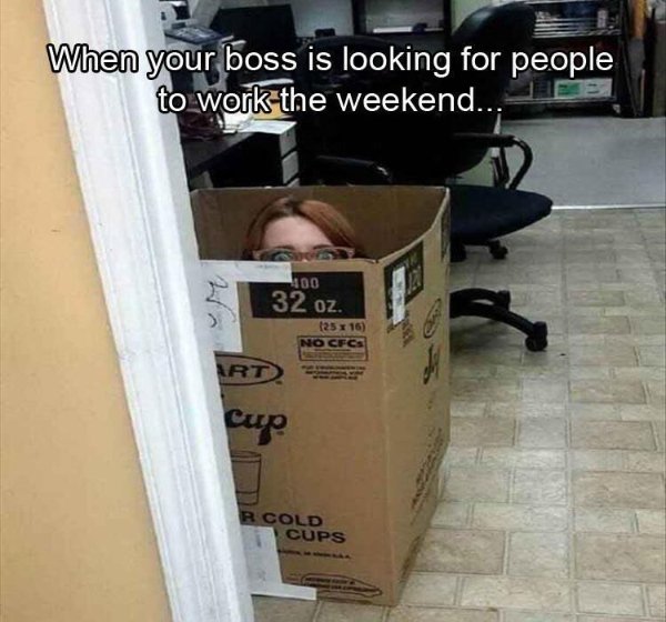 Memes About Work (29 pics)